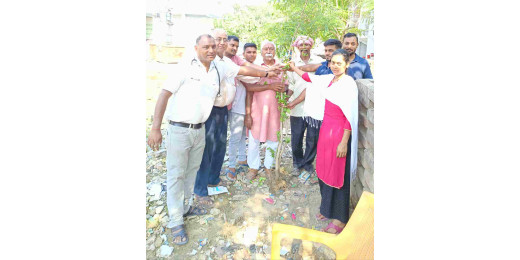 विश्व रेड क्रॉस दिवस पर पर्यावरण भारती ने किया पौधारोपण, पर्यावरण संरक्षण का दिया संदेश